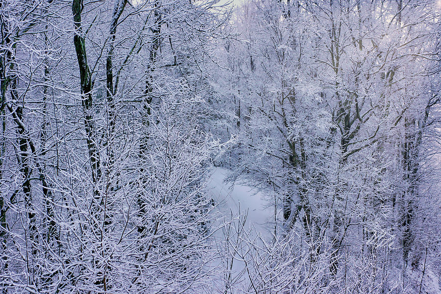 Winter Ice Storm Photograph by Meta Gatschenberger
