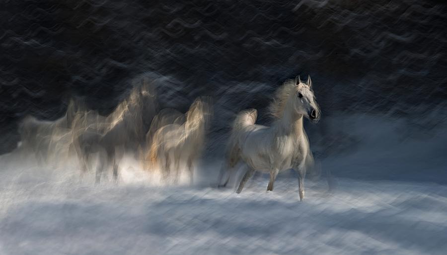 Winter Idyll Photograph by Milan Malovrh