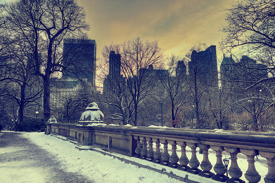 Winter In Central Park, New York City Photograph by Pawel.gaul