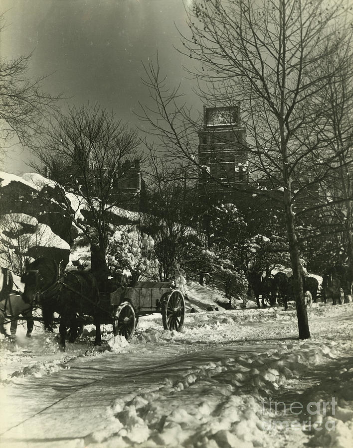 Winter In Central Park, Ny, Horses And Carriage In Snow, New York, Usa, C1920-38 Photograph by Irving Browning