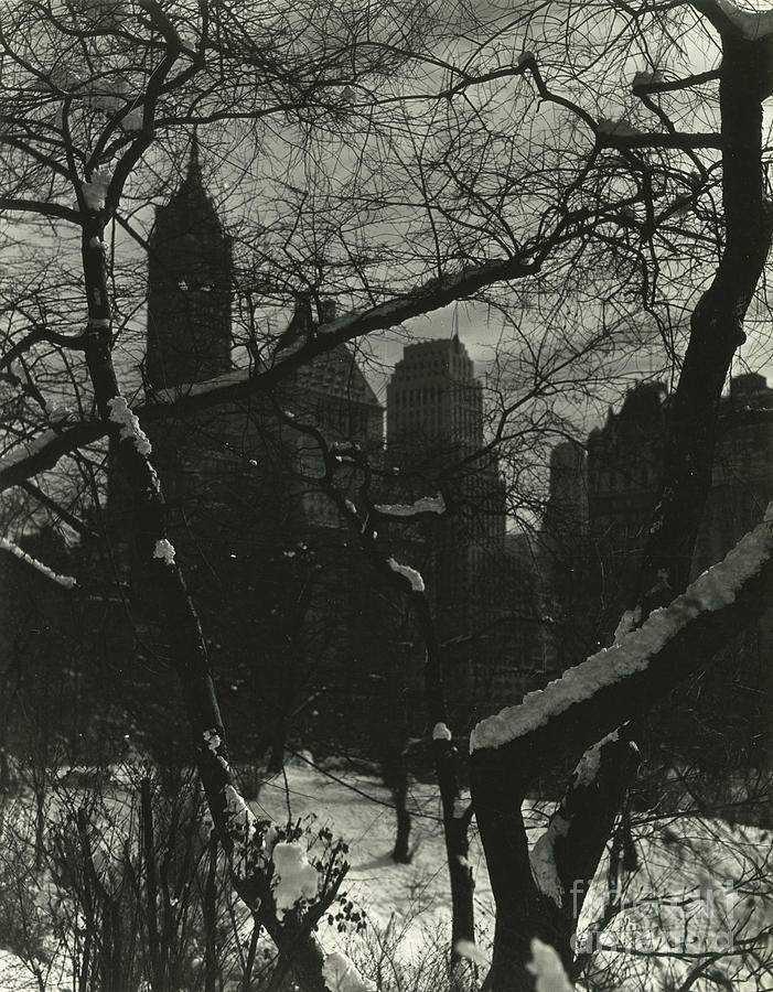 Winter In Central Park, Ny, New York, Usa, C1920-38 Photograph by Irving Browning
