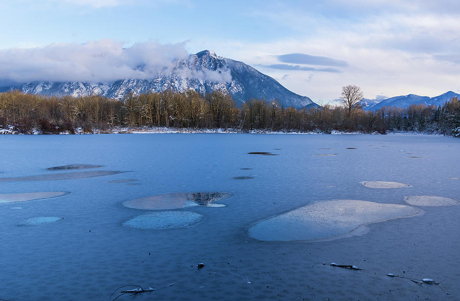 Winter in Lake Borst Digital Art by Michael Lee
