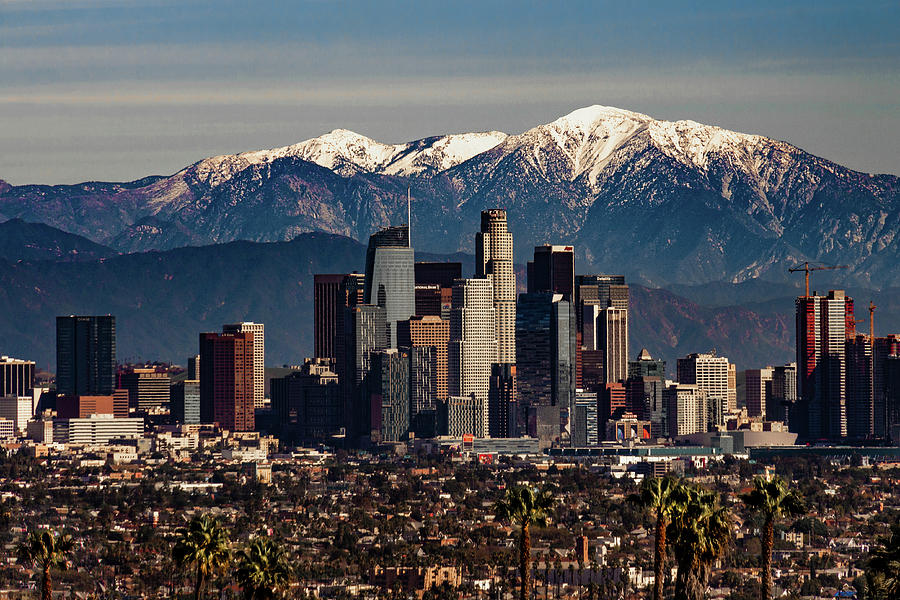 Winter in Los Angeles Photograph by April Reppucci