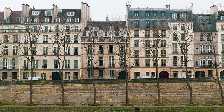 Paris Photograph - Winter in Paris by Jacquie Gouveia