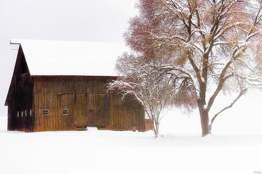 Winter In The Country Photograph by Dee Browning