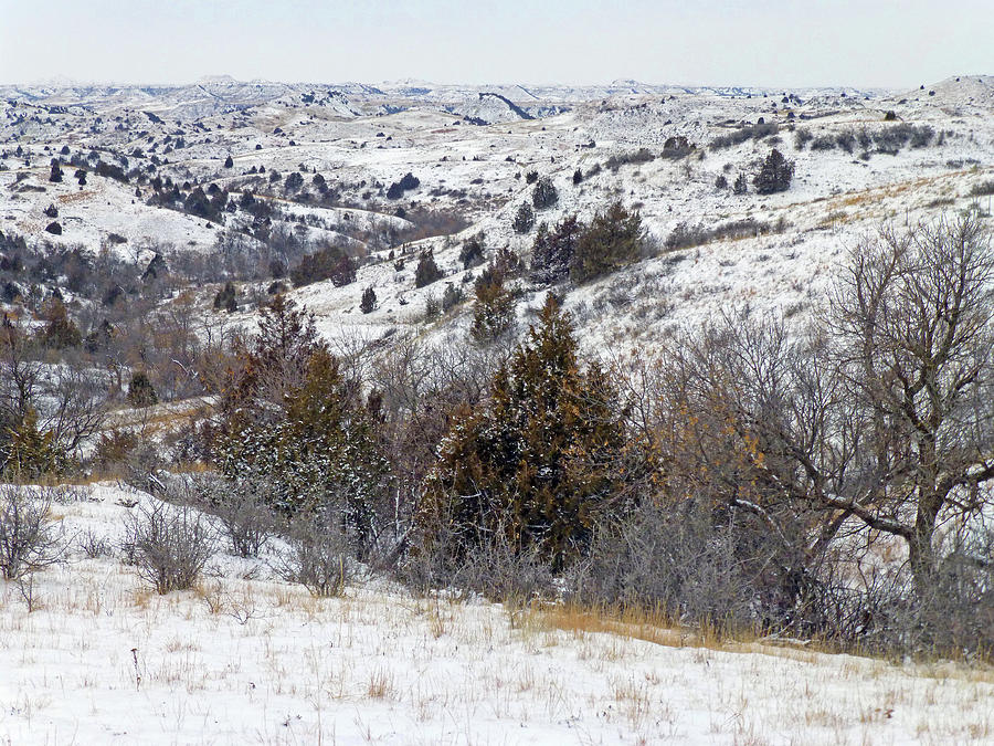 Winter in the Hills of West Dakota Photograph by Cris Fulton