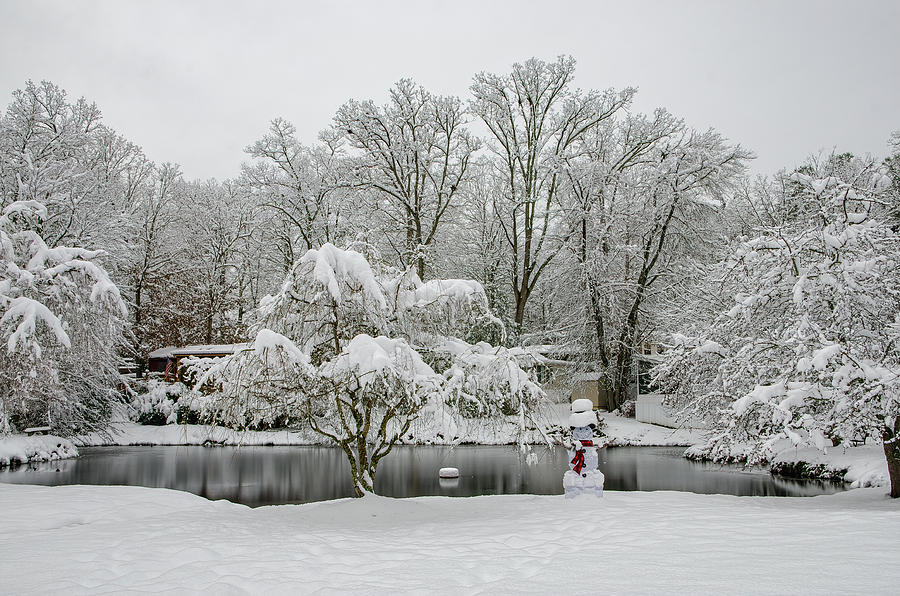 Winter in the Park by Claire Turner Winter in the Park by Claire Turner