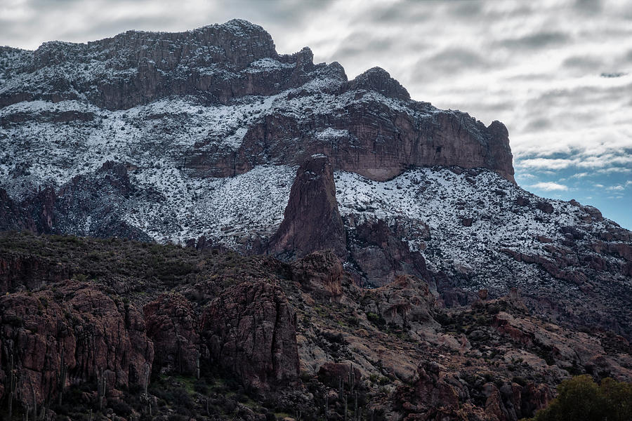 Winter In The Sonoran  Photograph by Saija Lehtonen