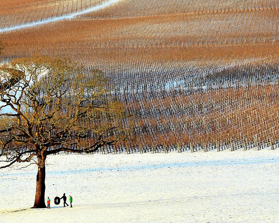 Winter In The Vineyard by Jerry Sodorff Winter In The Vineyard by Jerry Sodorff
