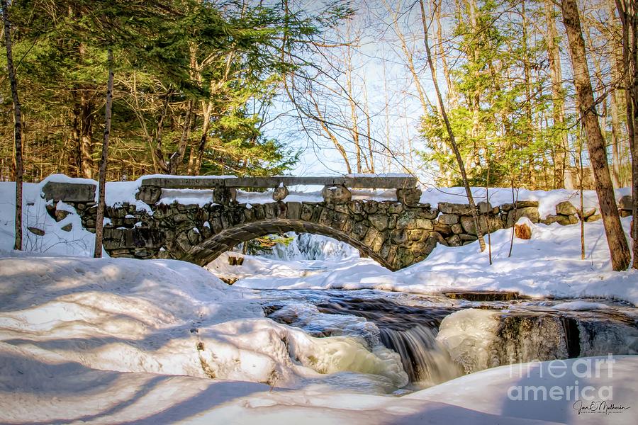 Winter In Vaughan Woods - Hdr Photograph