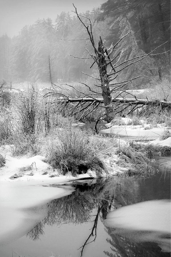 Black And White Photograph - Winter in Vermont by Mark Linton
