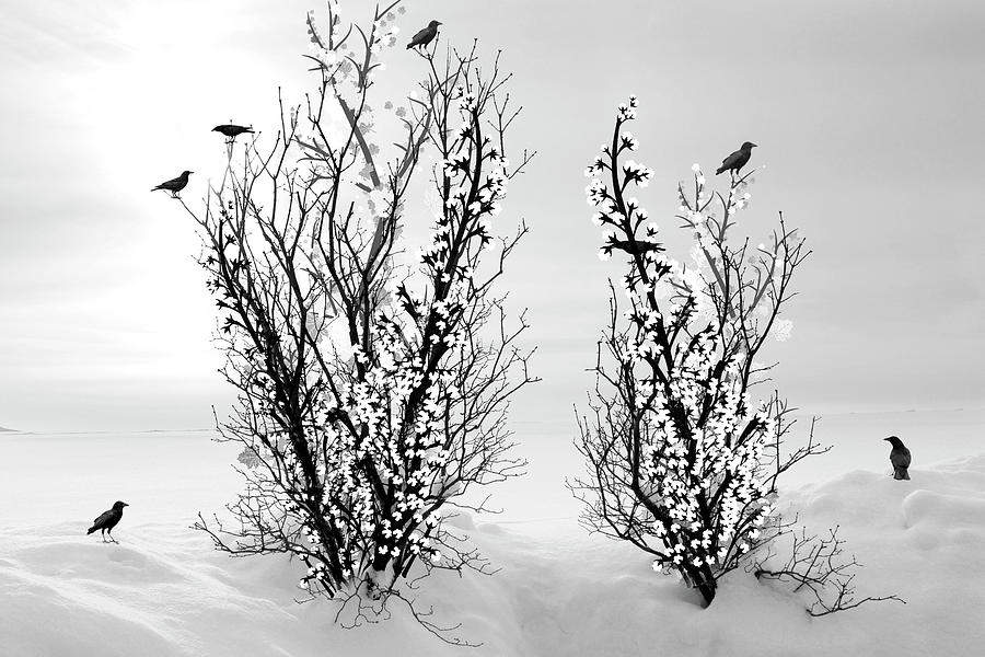 Winter Mixed Media - Winter Is Beautiful by Ata Alishahi