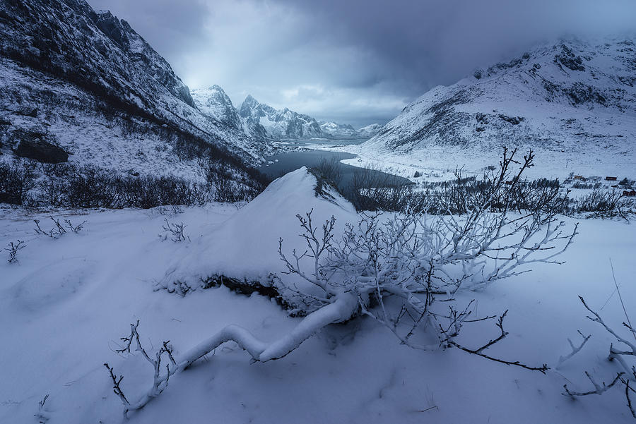 Lofoten Photograph - Winter Is Coming by David Martn Castn