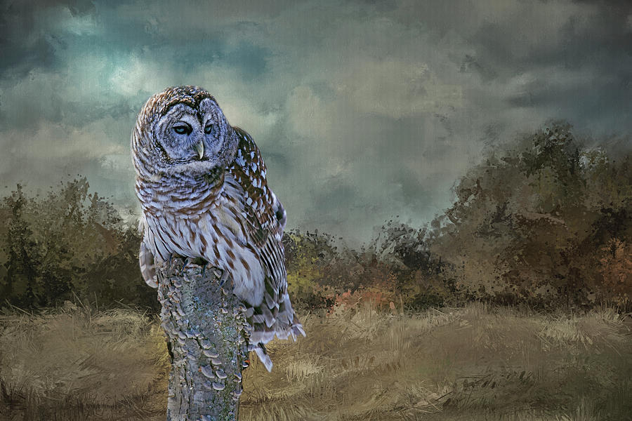 Winter Is Coming Digital Art by Jerry Dalrymple Winter Is Coming Digital Art by Jerry Dalrymple