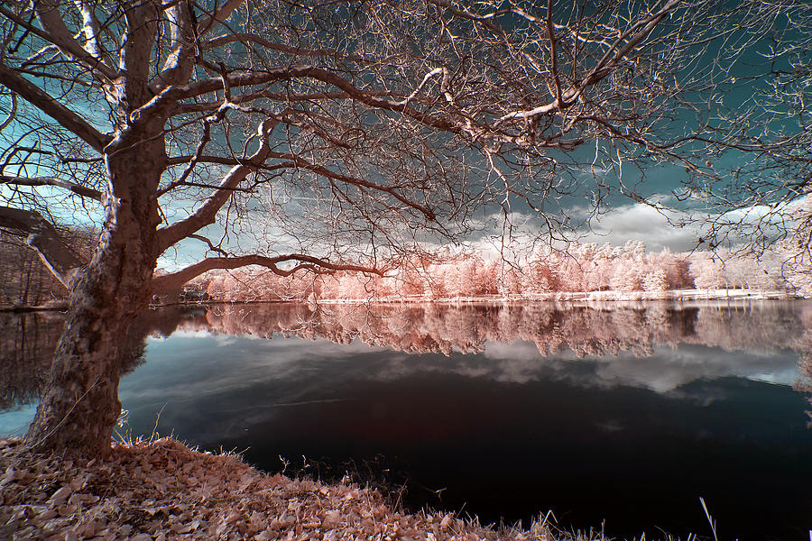 Landscape Photograph - Winter Is Comming by Klaus Bauer