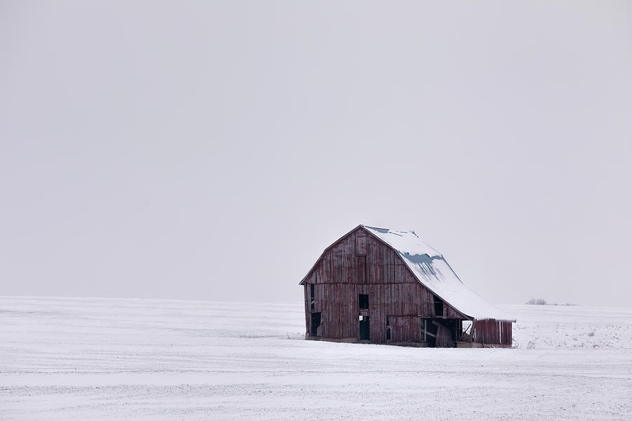 Winter Isolation by Scott Bean Winter Isolation by Scott Bean