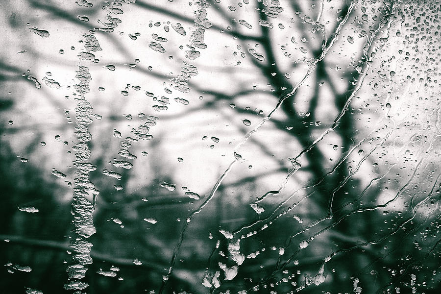 Winter journey by George Grigoriadis Winter journey by George Grigoriadis