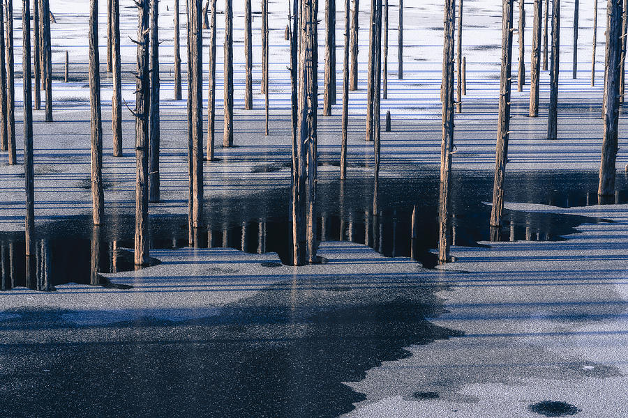 Winter Lake Photograph by Ryohei Irie