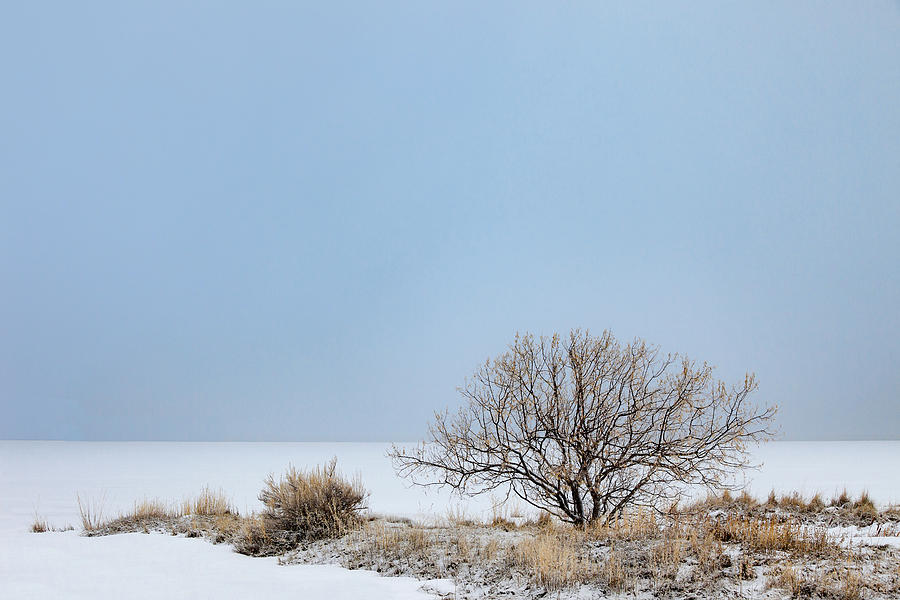 Winter Lakeside Photograph by Todd Klassy