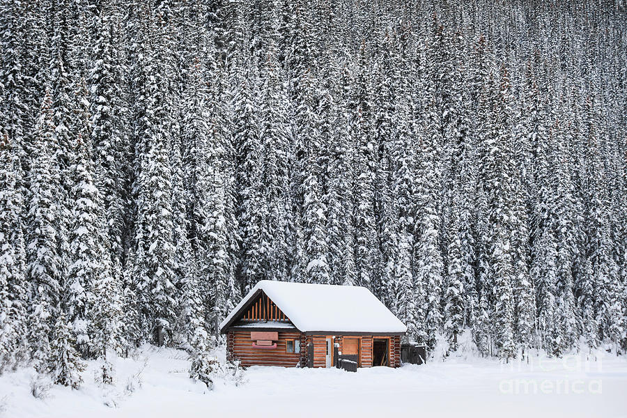 Winter Land Photograph