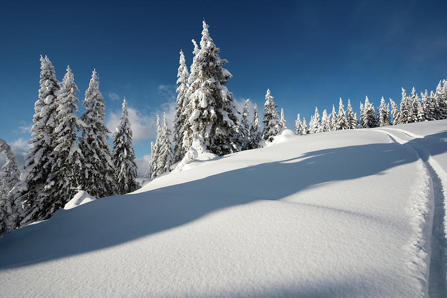 Winter Landscape Photograph by Alexandrumagurean