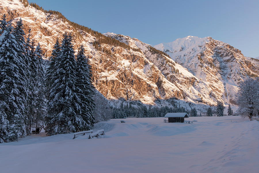 Winter Landscape, Allgau, Germany Digital Art by Martha Feustel