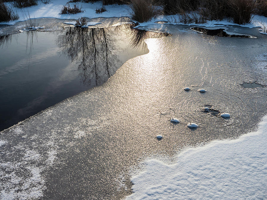 Winter Landscape at Whitesbog Photograph by Louis Dallara