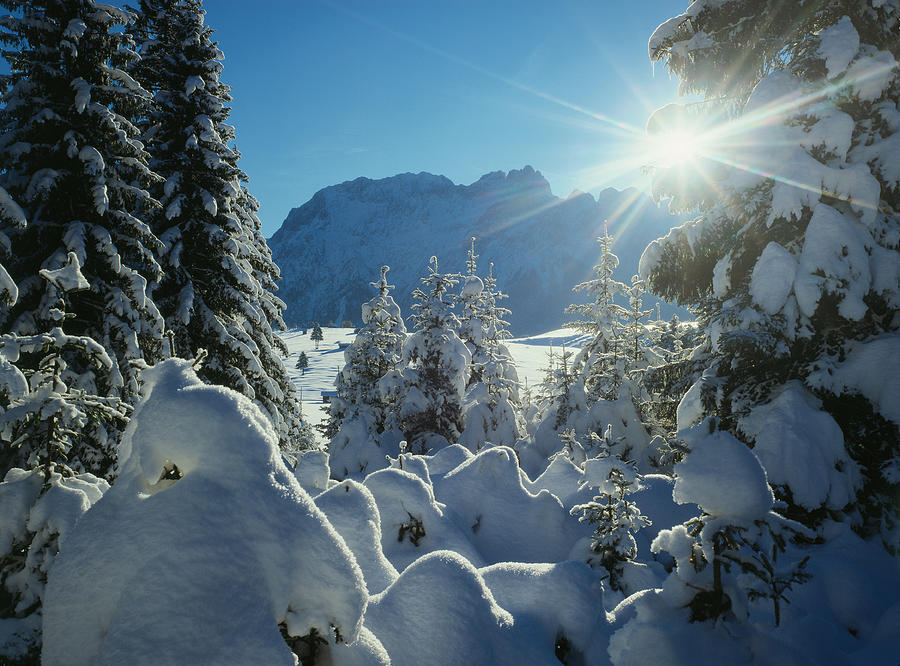 Winter Landscape, Bavaria, Germany Digital Art by Bodo Radelt