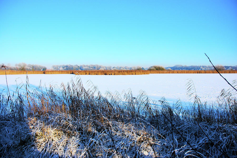 Winter Landscape Photograph by Brigitte Wegner