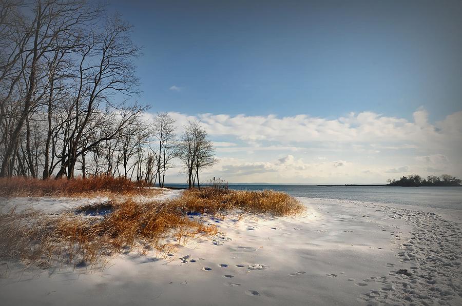 Winter Landscape Photograph by Diana Lee Angstadt