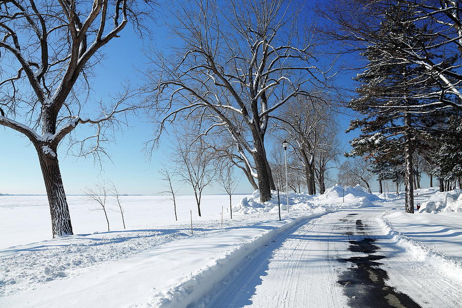 Winter Landscape Photograph