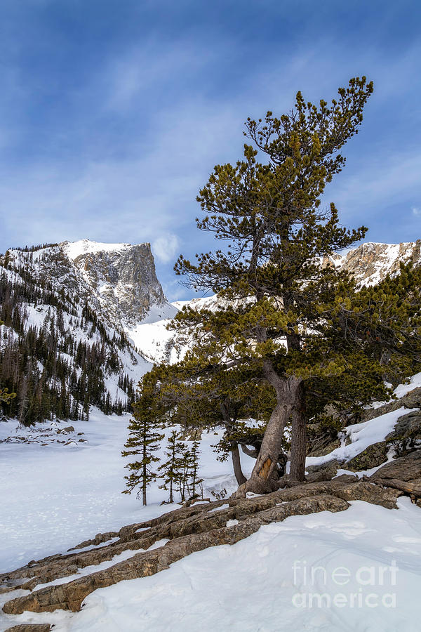 Winter Landscape in Rocky Mountain National Park Photograph by Ronda Kimbrow