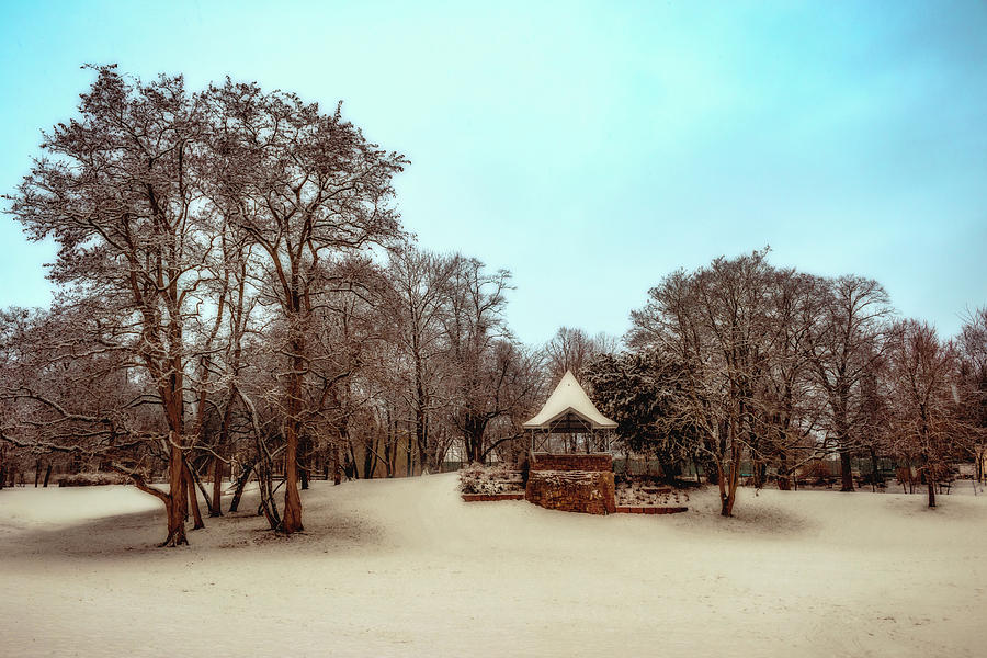 Winter Landscape Photograph by Marc Braner