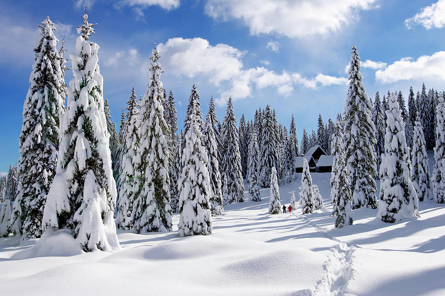 Winter Landscape Photograph by Mistikas