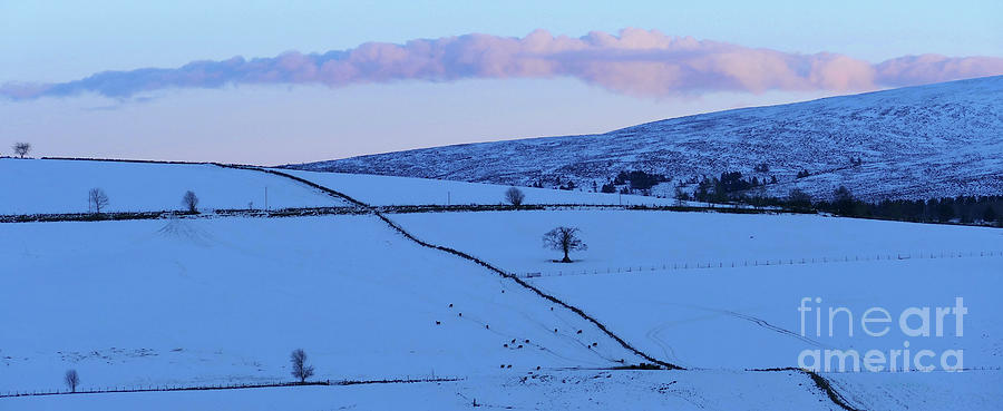 Winter Landscape Photograph by Phil Banks