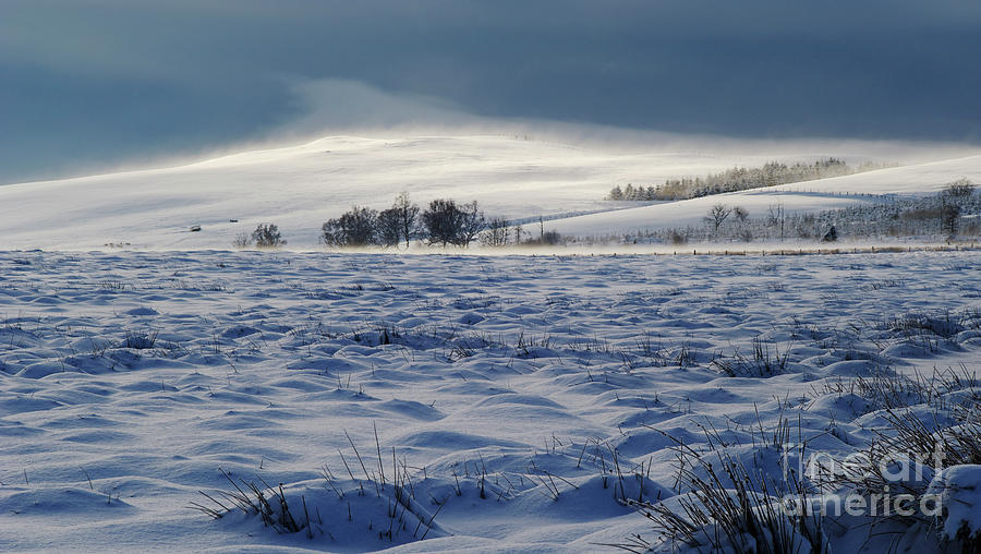 Winter Landscape Photograph by Richard Booth