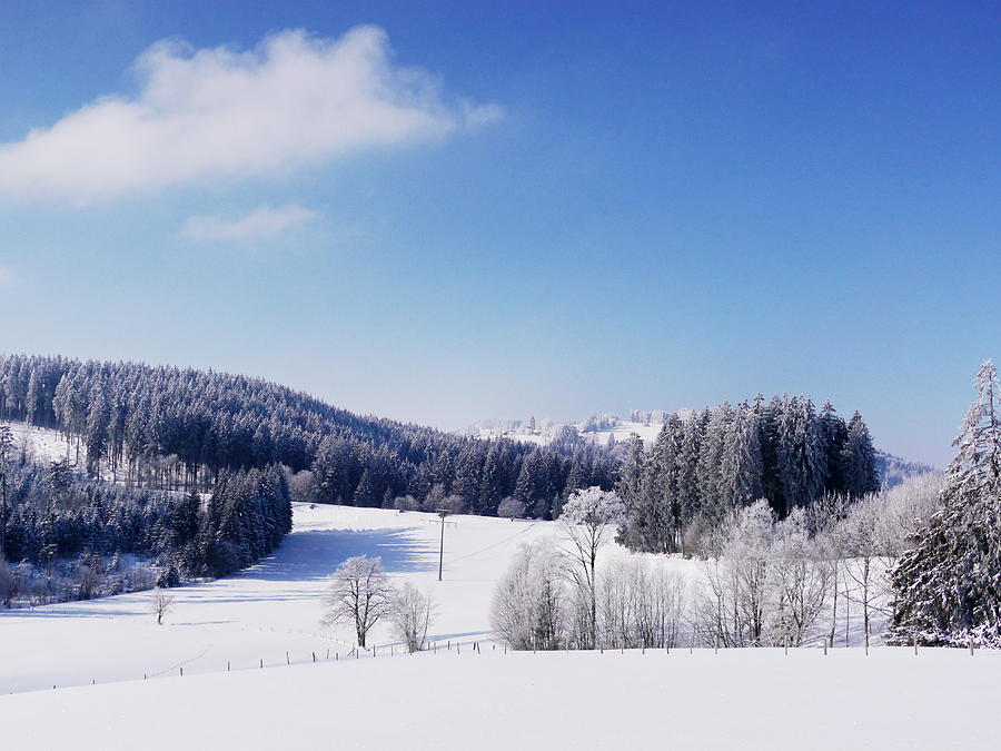Winter Landscape Photograph by Rolfo