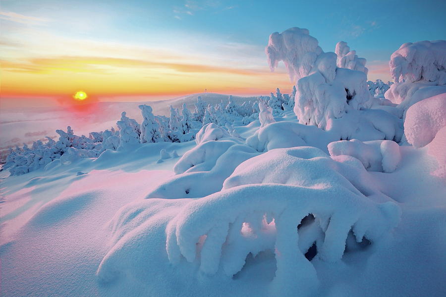 Winter Landscape, Saxony, Germany Digital Art by Reinhard Schmid