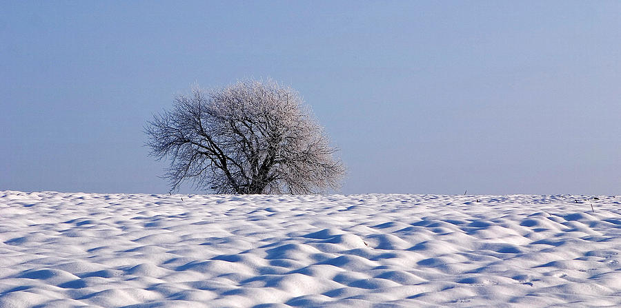 Winter Landscape Photograph by Tozofoto