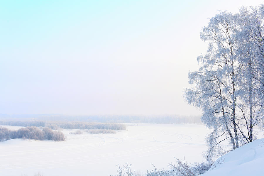 Winter Landscape Photograph by Vnosokin