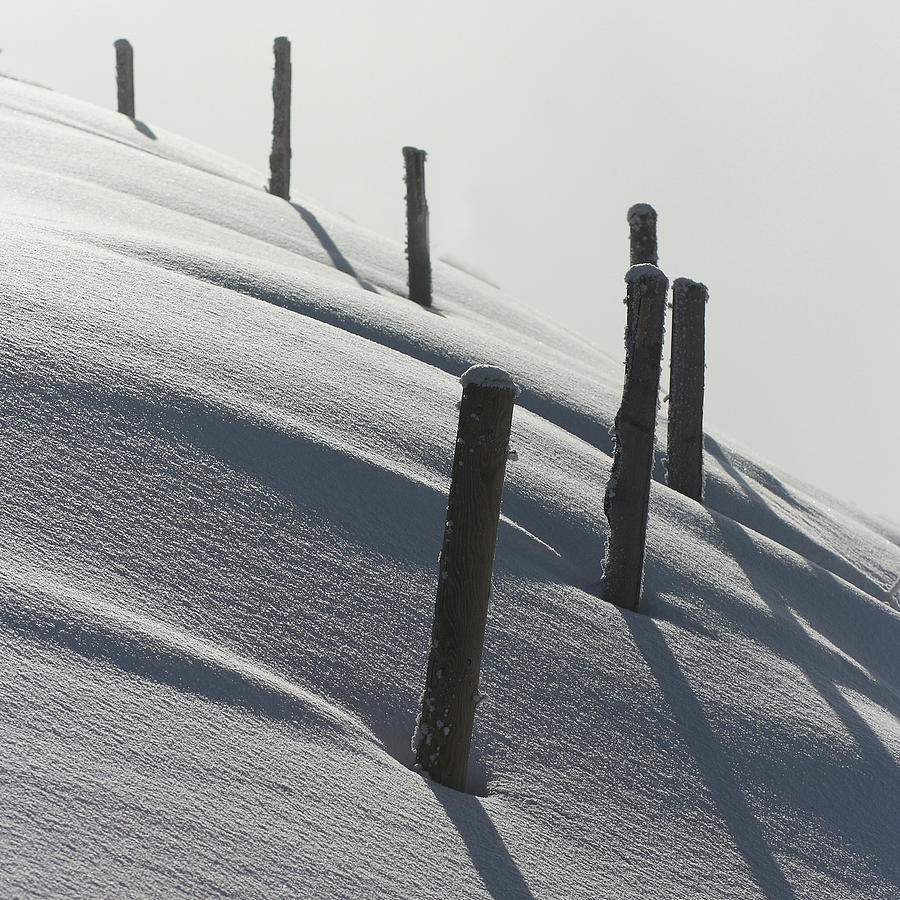 Winter Landscape With Poles Photograph by Andrzej Grzegorzewski