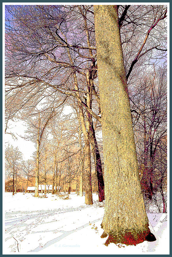 Winter Landscape with Snow, Pennypack Park, Philadelphia, Pennsylvania, USA Photograph by A Macarthur Gurmankin
