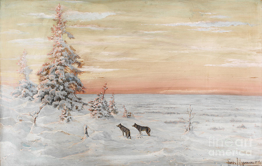 Winter Landscape With Wolves, 1915 Drawing by Heritage Images