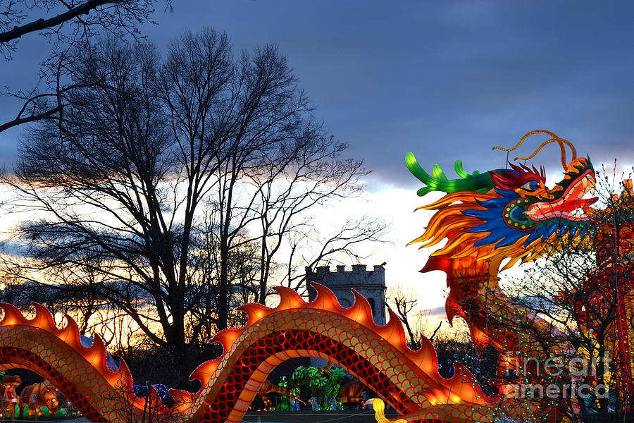 Winter Lantern Festivall, Dragon8 Photograph by Anthony Butera