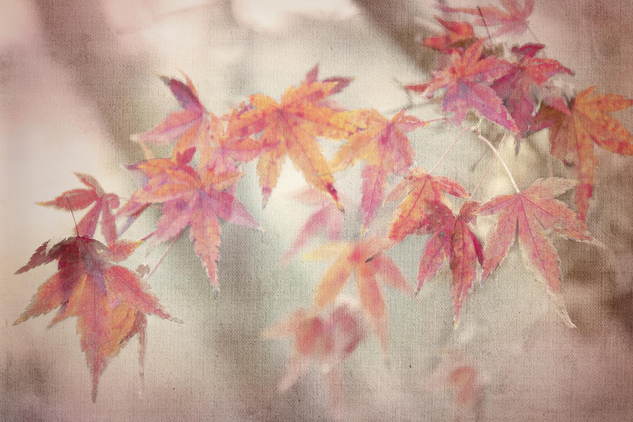 Winter Leaves Digital Art by Terry Davis