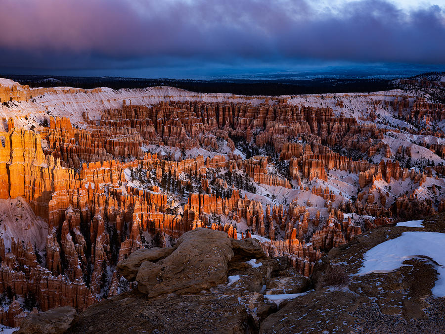 Bryce Canyon National Park Photograph - Winter Light by Edgars Erglis