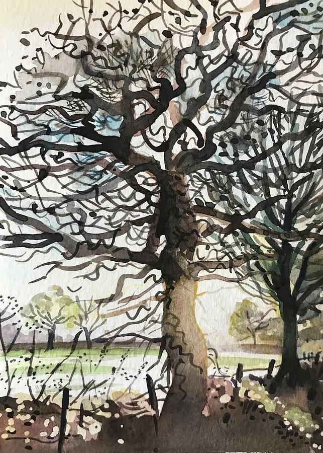 Tree Painting - Winter Light by Luisa Millicent
