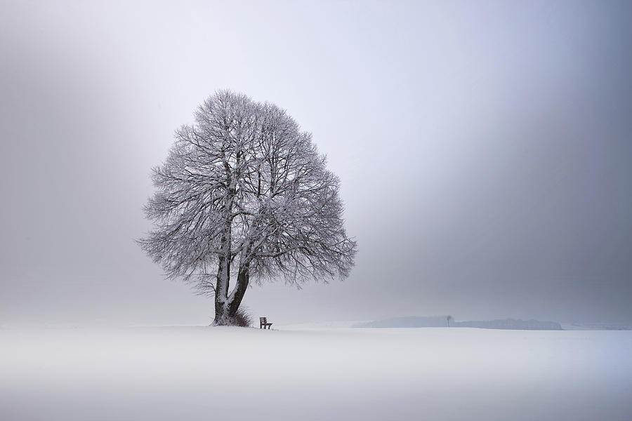 Winter Photograph - Winter Light by Nicolas Schumacher