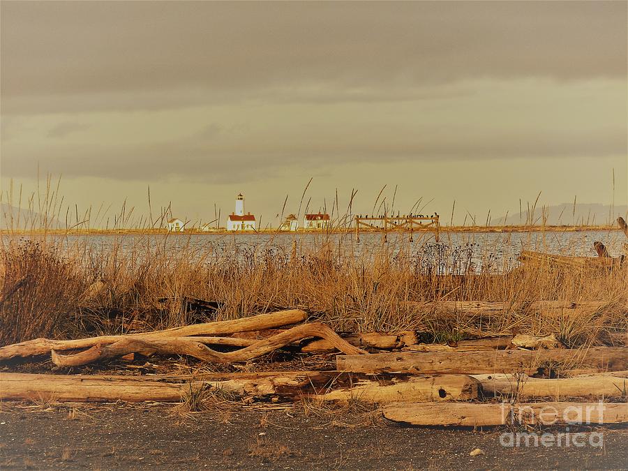 Winter Lighthouse by Barbara Henry Winter Lighthouse by Barbara Henry