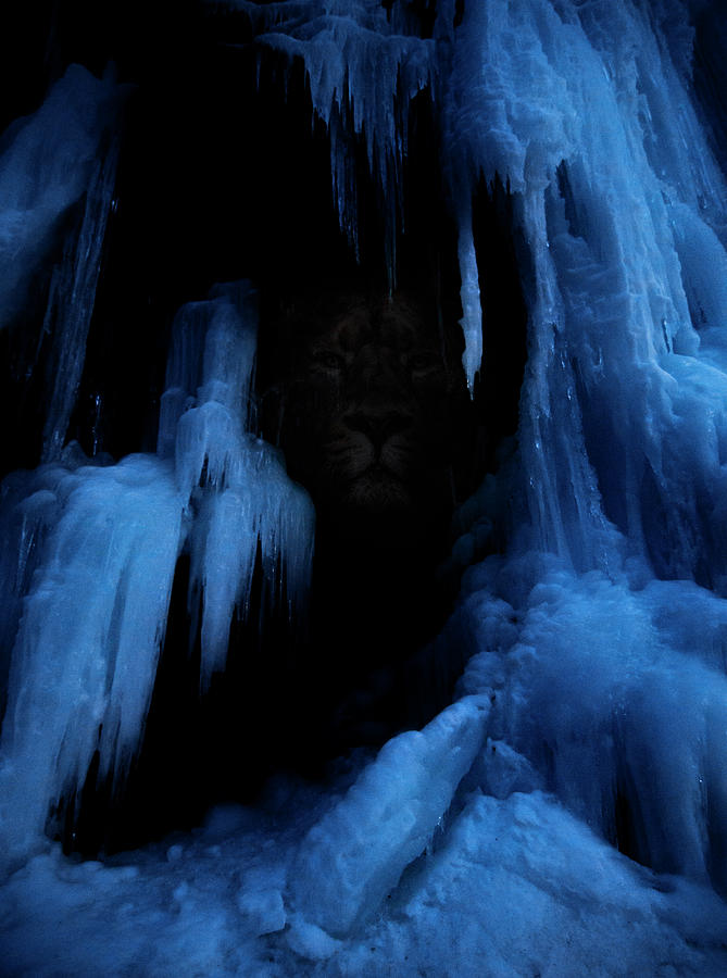 Winter Lions Den Digital Art